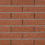 Кирпич облицовочный узкий пустотелый тычковый КУПТ4, фото 2