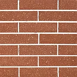 Кирпич облицовочный узкий пустотелый тычковый КУПТ4, фото 3