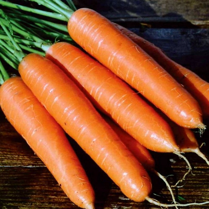 Морковь ст. дражированная Красный Великан РС1 - фото 1 - id-p224190863