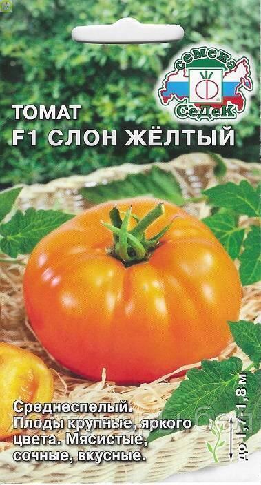 Томат Слон Желтый F1 0,1г Индет Ср (Седек)