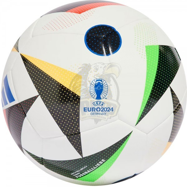 Мяч футбольный любительский Adidas Euro24 Training №5 (арт. IN9366-5) - фото 1 - id-p224222501