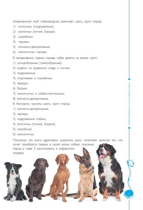 Самые популярные породы собак - фото 9 - id-p224222572