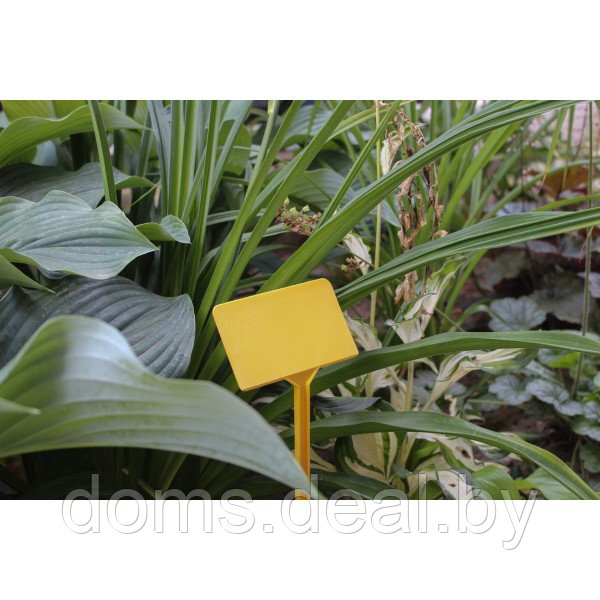 Табличка садовая для маркировки растений большая, уп-ка 5шт GardenPlast 23675-1 - фото 3 - id-p224219766