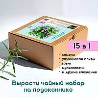 Подарочный набор kvetka box. Чайный, bioDSO