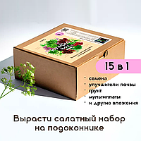 Подарочный набор kvetka box. Салатный, bioDSO