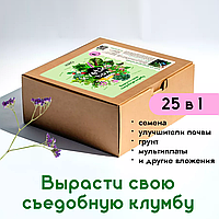 Подарочный набор kvetka box. Съедобный, bioDSO