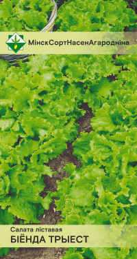 Семена Салат листовой Бионда Триест (1 гр) МССО - фото 1 - id-p122793213