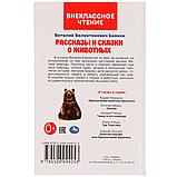 Рассказы и сказки о животных. Виталий Бианки. Внеклассное чтение., фото 4
