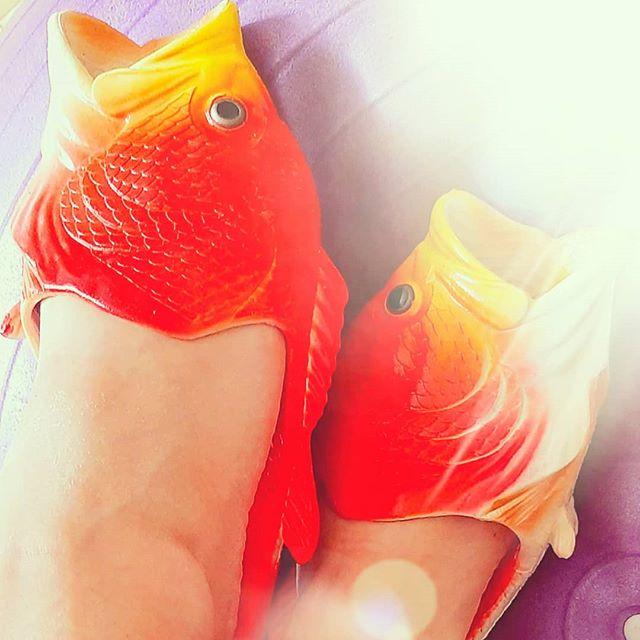 Тапочки Рыбашаг желто-красные, Размер обуви (38-39) - фото 7 - id-p125160870
