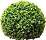 Искусственное растение Green Fly Самшит Крапива / С-15-29 - фото 1 - id-p224261875