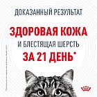 Влажный корм Royal Canin Hair & Skin Care для взрослых кошек (в желе) 85гр., фото 3