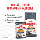 Влажный корм Royal Canin Hair & Skin Care для взрослых кошек (в желе) 85гр., фото 5
