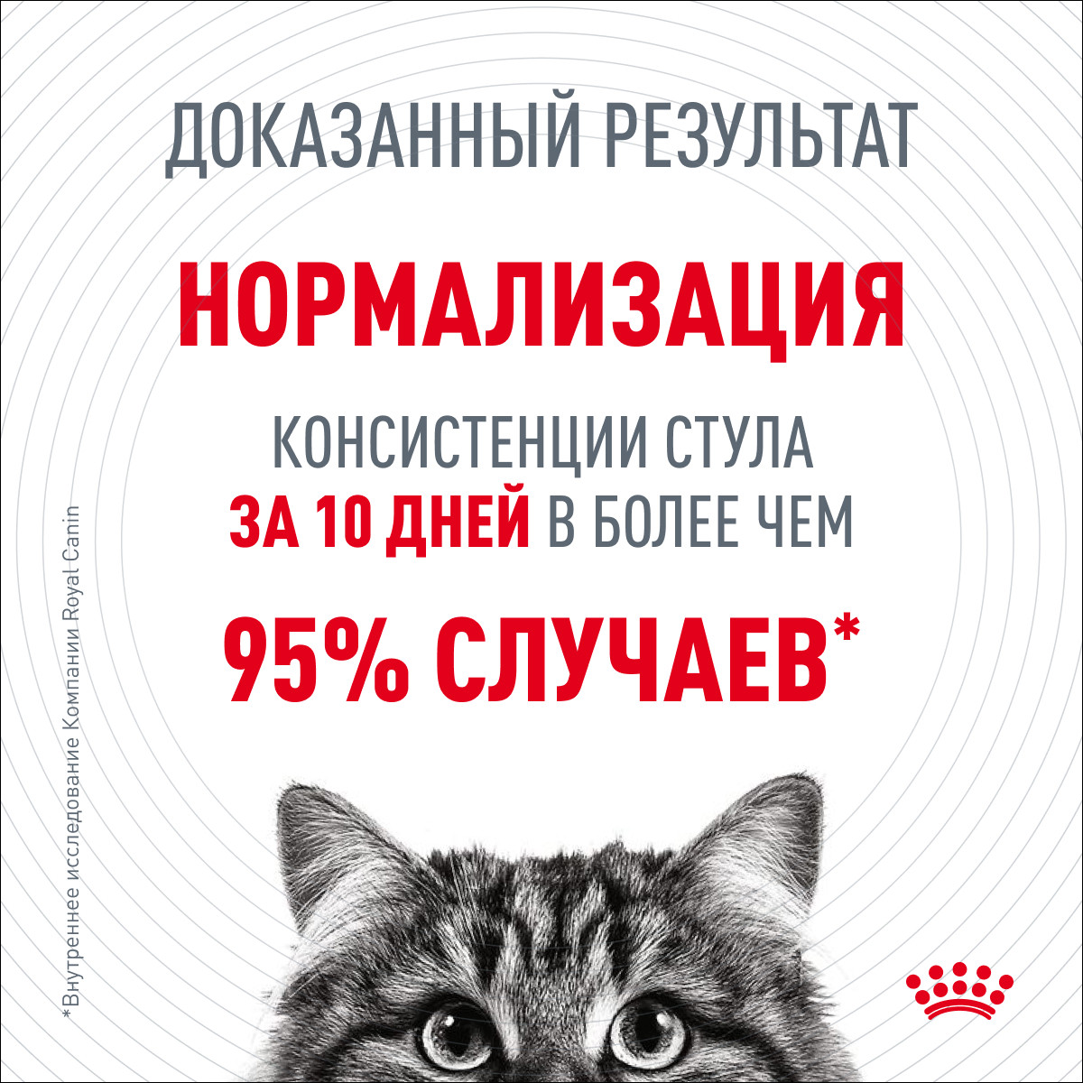 Royal Canin Digest Sensitive in GRAVY влажный корм (кусочки в соусе) для взрослых кошек, 85г., (Россия) - фото 3 - id-p224263982