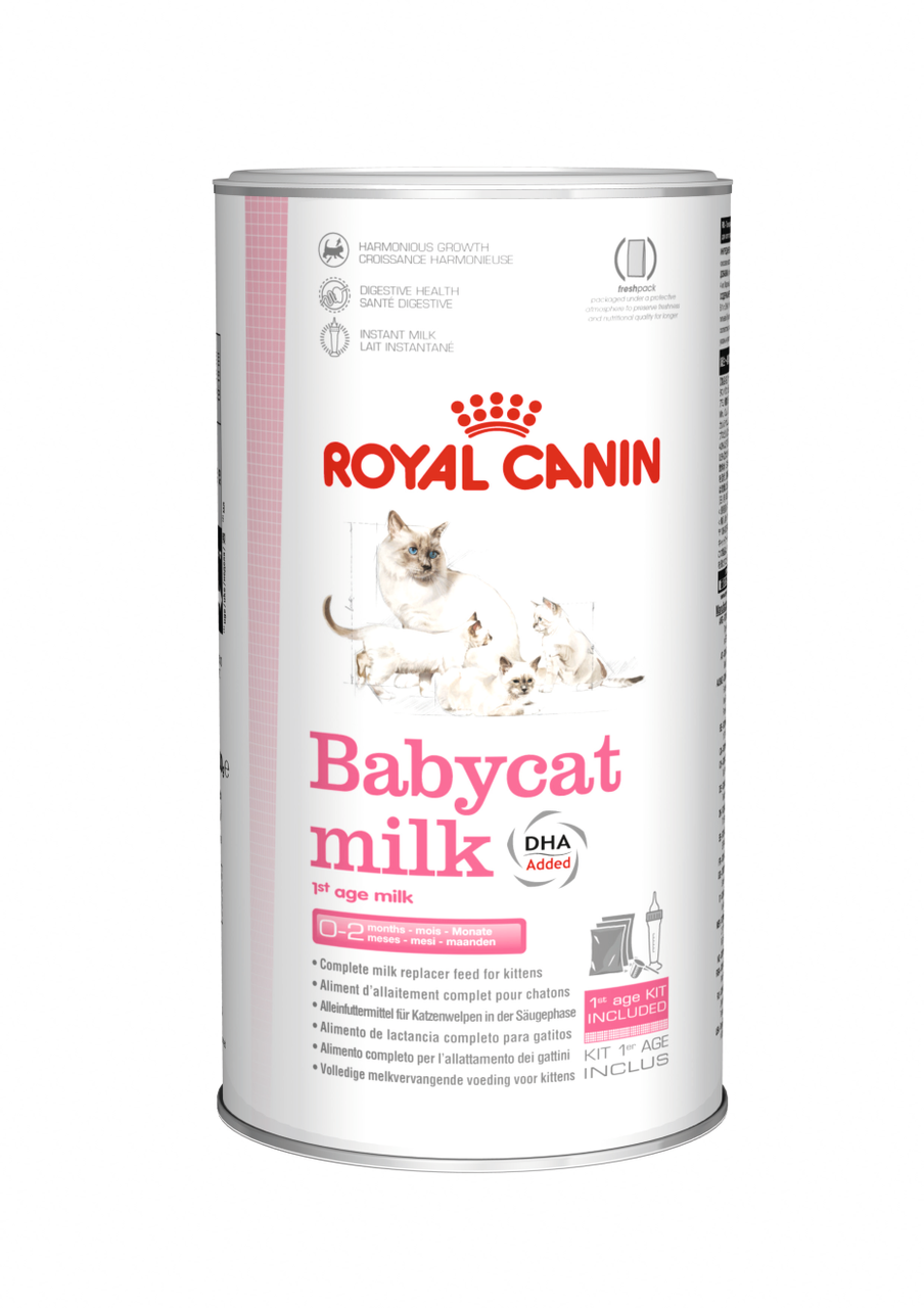 Royal Canin Babycat milk, сухой корм для кошек (заменитель молока для котят), 0,3кг, (Франция) - фото 1 - id-p224264019