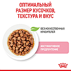 Корм влажный Royal Canin Kitten Instinctive для котят (кусочки в соусе)85гр., фото 3