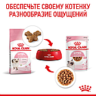 Корм влажный Royal Canin Kitten Instinctive для котят (кусочки в соусе)85гр., фото 5