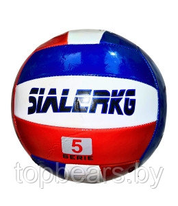 Мяч для волейбола (белый) - фото 1 - id-p224268718