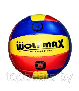 Мяч для волейбола (белый) - фото 1 - id-p224268719