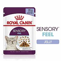 Royal Canin SENSORY FEEL JELLY (ощущения) влажный корм (кусочки в желе) для взрослых кошек, 85г., (Австрия)