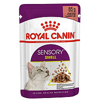 Royal Canin SENSORY SMELL GRAVY (запах) влажный корм (кусочки в соусе) для взрослых кошек, 85г., (Австрия)