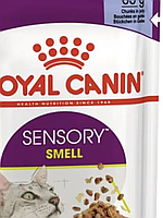 Royal Canin SENSORY SMELL GRAVY (запах) влажный корм (кусочки в желе) для взрослых кошек, 85г., (Австрия)