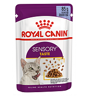 Royal Canin SENSORY TASTE JELLY (вкус) влажный корм (кусочки в желе) для взрослых кошек, 85г., (Австрия)