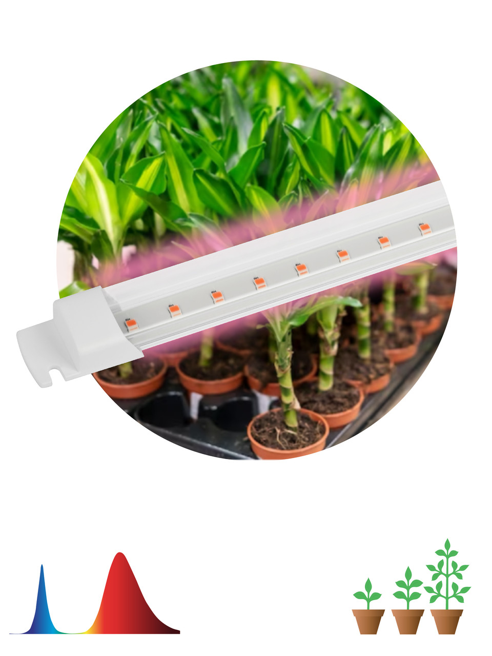 Светильник для растений, фитолампа светодиодная линейная ЭРА FITO-10W-Т5-RB-Slim красно-синего спектра 10 Вт Т