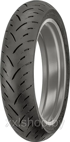 Мотошина Dunlop Sportmax GPR-300 110/70ZR17 (54W) F TL, фото 2