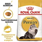 Влажный корм Royal Canin Persian для взрослых персидских кошек старше 12 месяцев (паштет) 85гр., фото 2