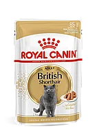 Royal Canin Shorthair Adult влажный корм (кусочки в соусе) для британских короткошерстных кошек, 85г (Россия)