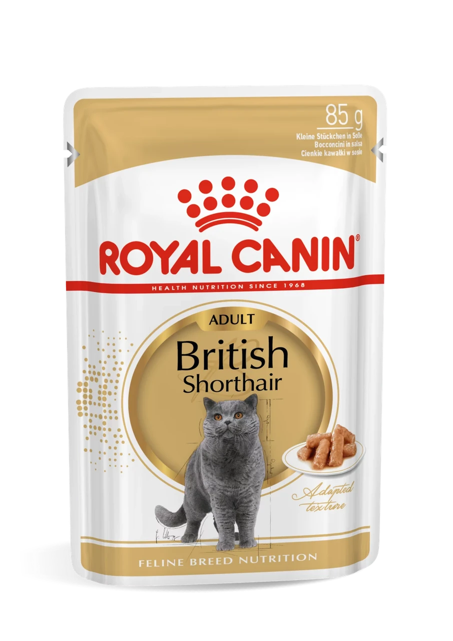 Royal Canin Shorthair Adult влажный корм (кусочки в соусе) для британских короткошерстных кошек, 85г (Россия) - фото 1 - id-p224282870
