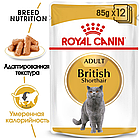 Влажный корм Royal Canin British Shorthair Adult  для британских короткошерстных кошек(кусочки в соусе) 85гр., фото 2