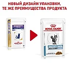 Влажный корм-диета Royal Canin Sensitivity Control Chicken with Rice для взрослых кошек  (в соусе) 85гр., фото 3