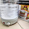 Сушилка для овощей и фруктов Digital Food Dehydrator SMX-01, фото 8