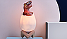 Светодиодный ночник Мезозой (лампа - ночник) 3D Динозавр игрушка с пультом управления, 16 цветов Паразауролоф, фото 5