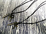 Подвеска с кулонами Крест, Медальон, Кольцо, Пуля 3.5 см (универсальная регулировка длины) Сталь, коричневый, фото 5