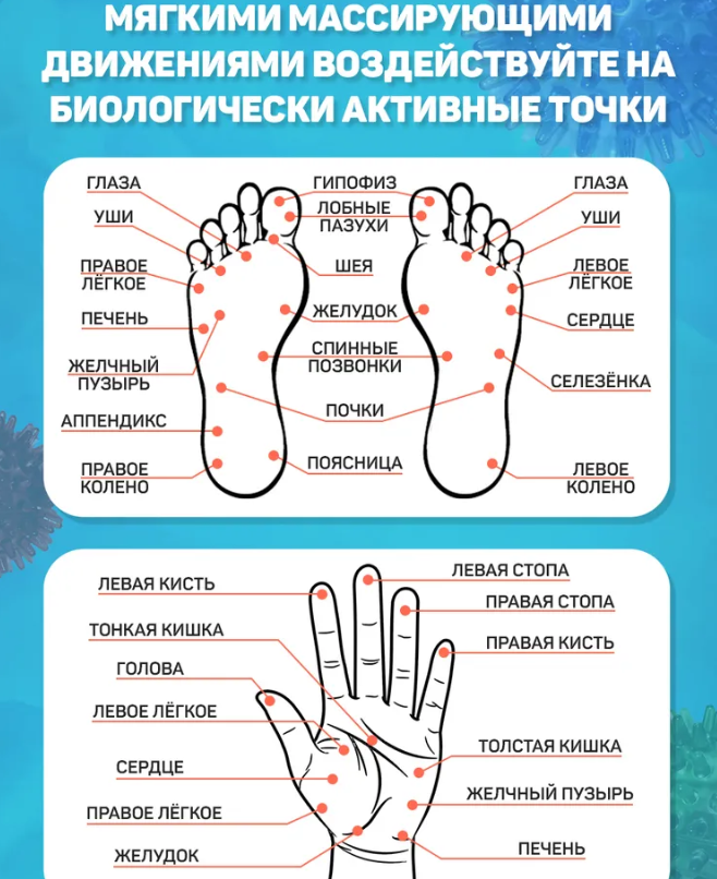 Массажер акупунктурный для всего тела Чудо - мячик, d 60 мм. Цвета Микс - фото 8 - id-p224288518