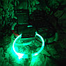 Светящийся ошейник для собак (3 режима, зарядка USB)  Зеленый (Green), размер М, фото 7