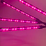 Светодиодная Фитолампа полного спектрадля растений и рассады 40Вт на прищепке (3 режима работы) / четырехлапая, фото 2