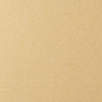 Бумага для пастели (50х65см, 160г/м2) (песок)