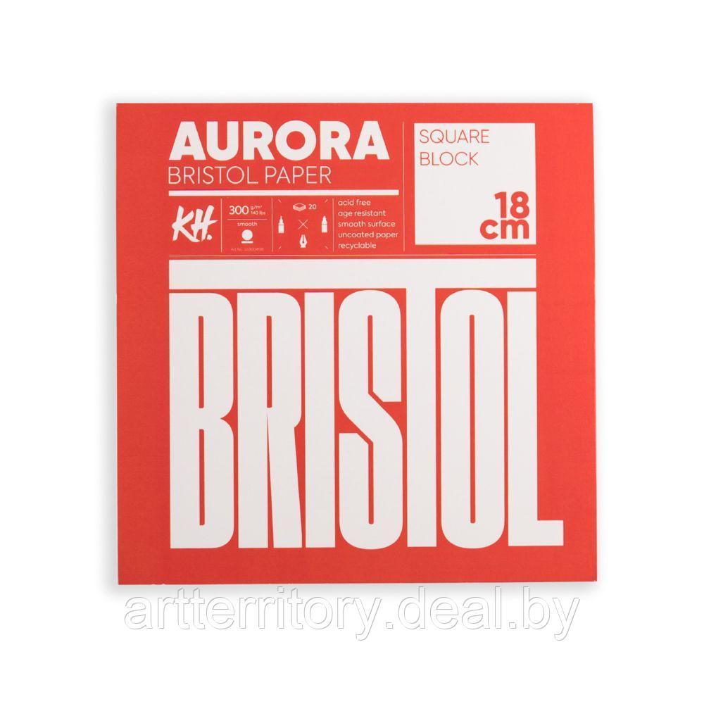 Альбом-склейка Bristol RAW Aurora, 18х18см, 300 г/м2, 20 листов - фото 1 - id-p224291782