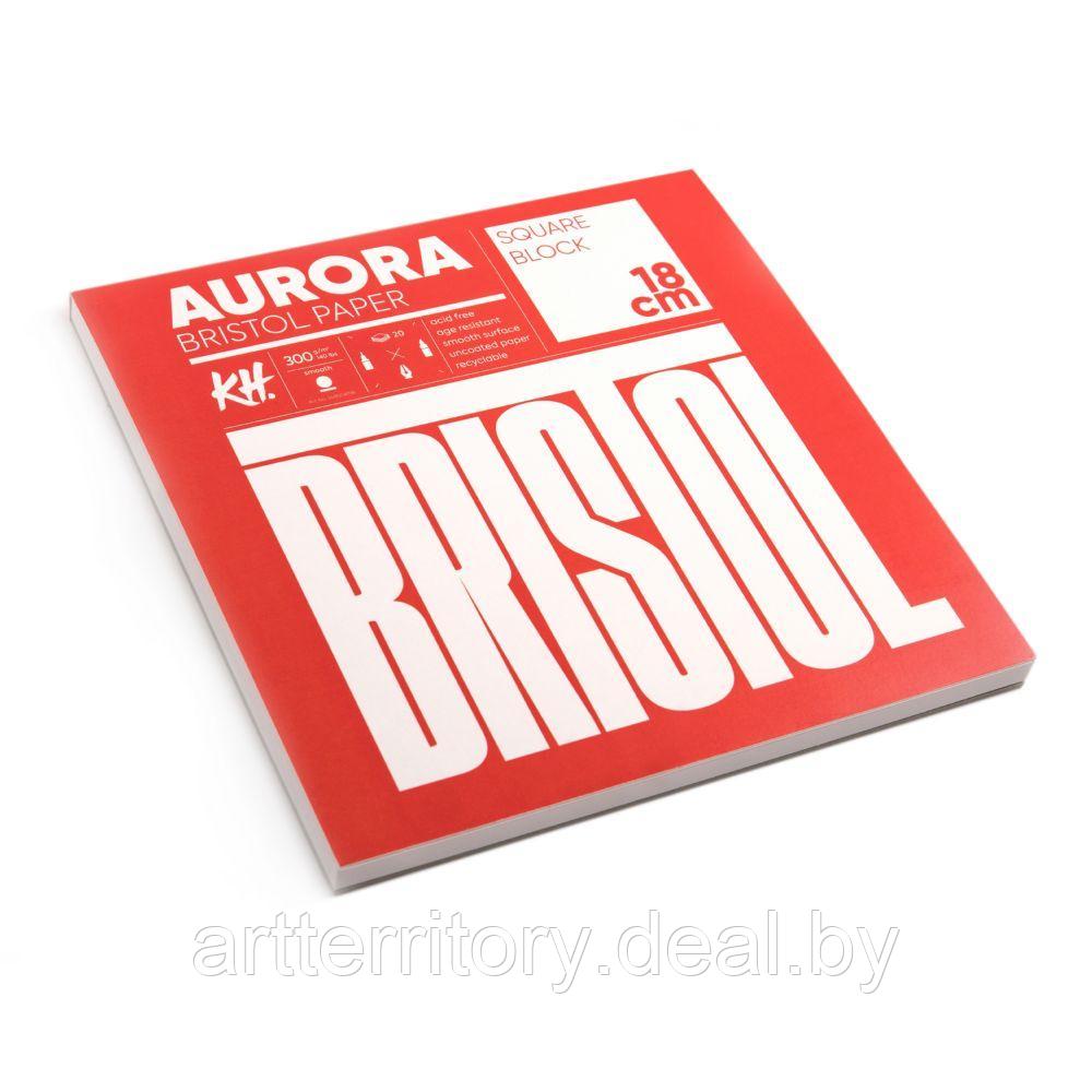 Альбом-склейка Bristol RAW Aurora, 18х18см, 300 г/м2, 20 листов - фото 2 - id-p224291782