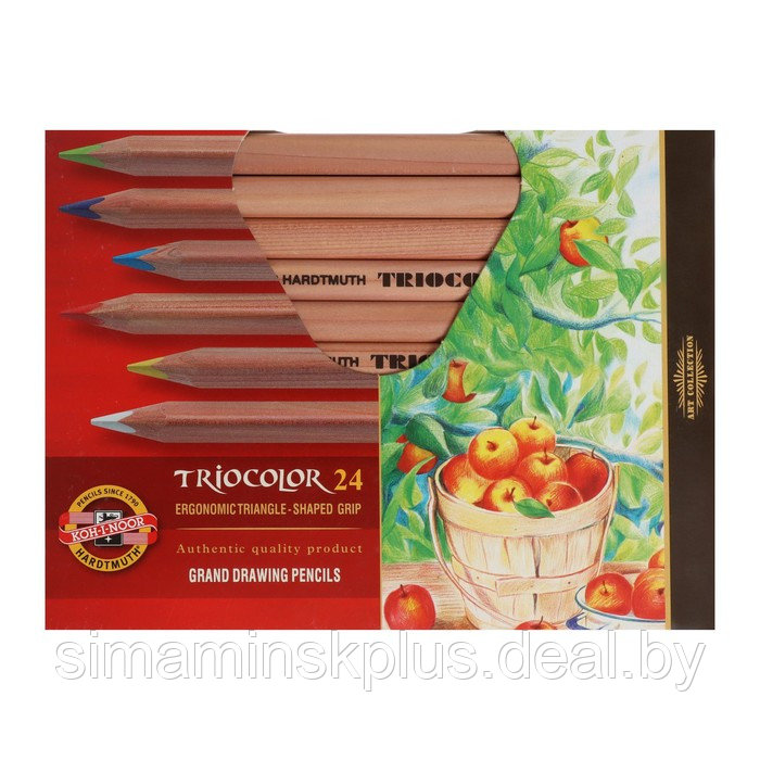 Карандаши утолщённые Triocolor, 24 цвета, трёхгранные - фото 2 - id-p224295191