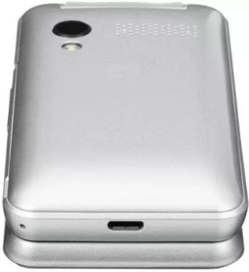 Кнопочный телефон Philips Xenium E2601 (серебристый) - фото 5 - id-p224295972