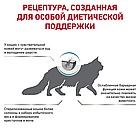 Сухой корм-диета Royal Canin Skin & Coat для кошек после стерилизации 400гр., фото 3