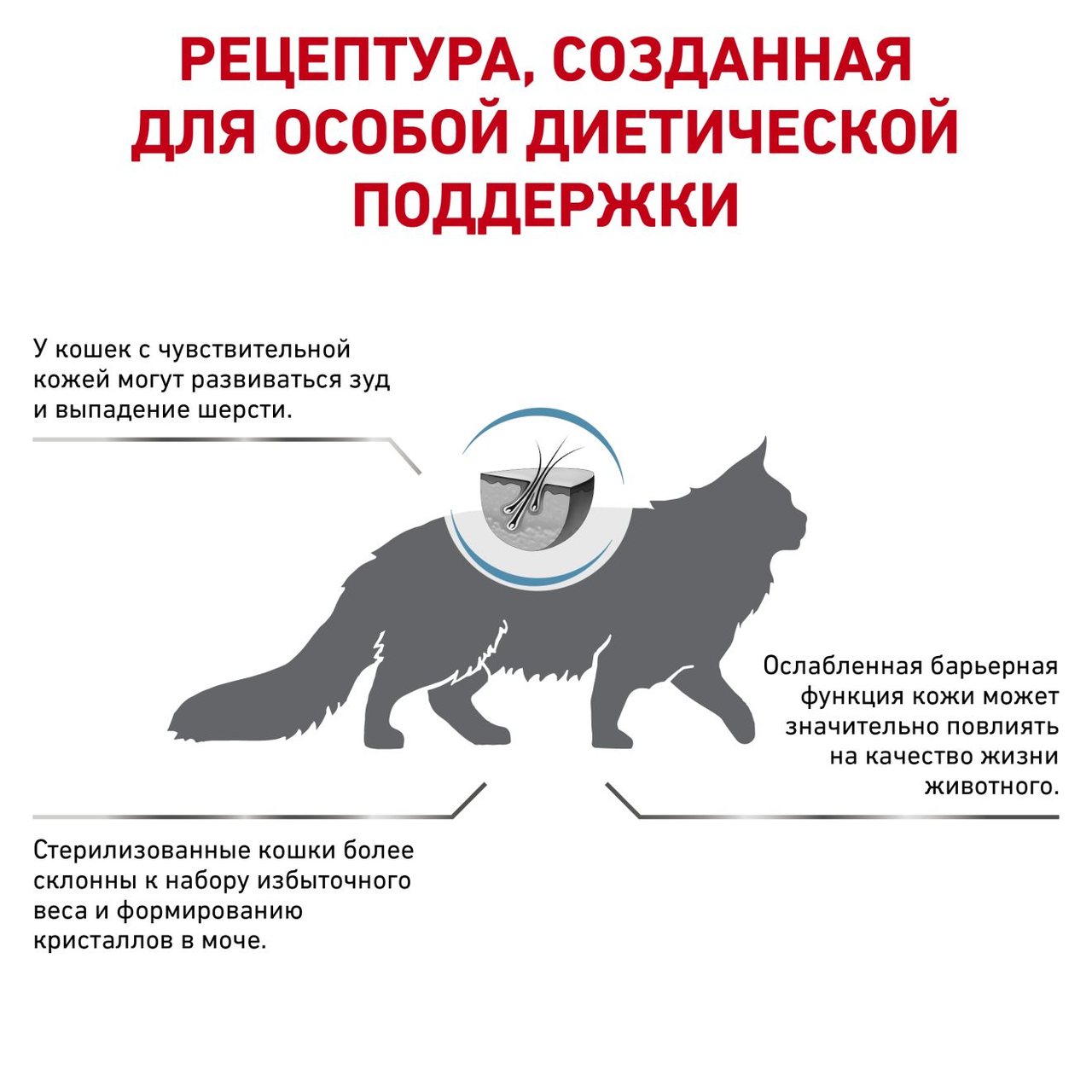 Royal Canin Skin & Coat сухой корм диетический для кошек после стерилизации, 0,4кг, (Россия) - фото 3 - id-p224298262