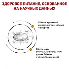 Корм сухой диетический Royal Canin Urinary S/O для взрослых кошек при мочекаменной болезни 400гр., фото 4