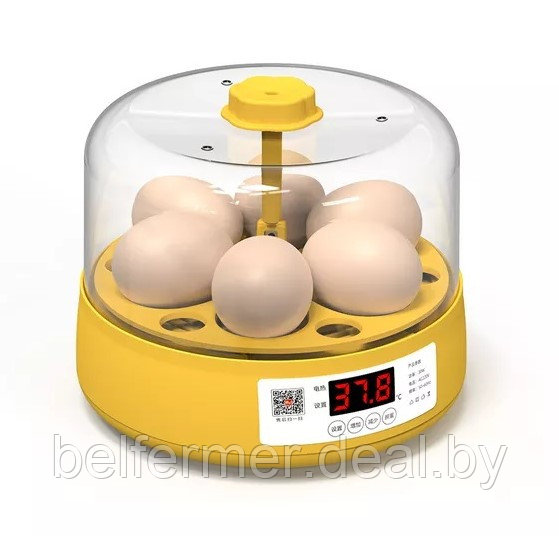Мини инкубатор автоматический для яиц на 6 яиц - фото 1 - id-p224301934