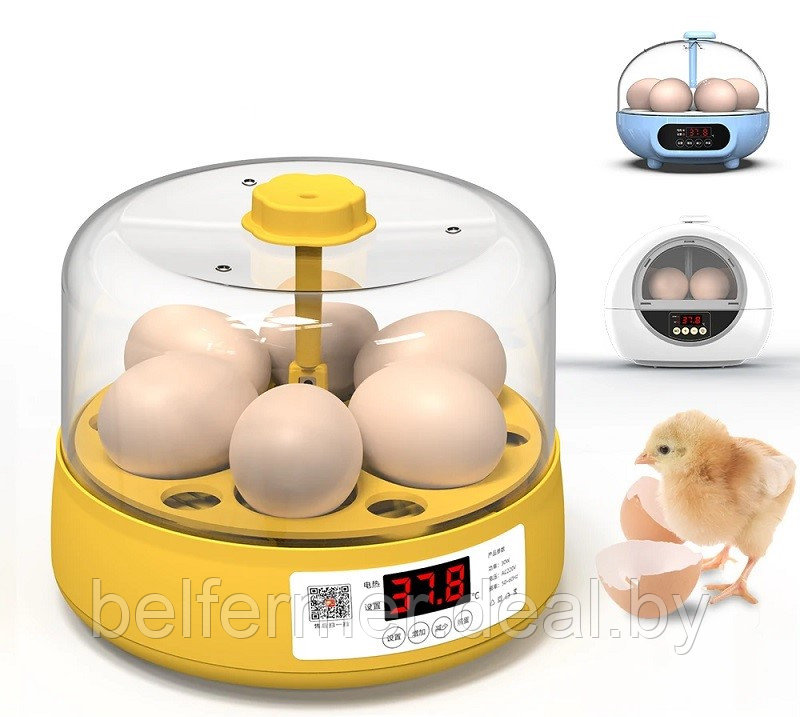Мини инкубатор автоматический для яиц на 6 яиц - фото 2 - id-p224301934