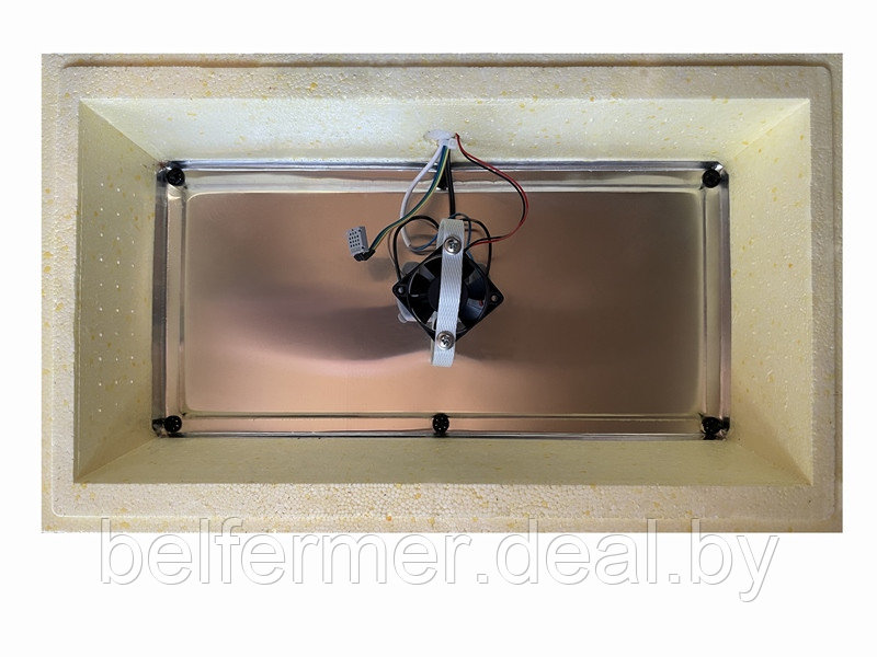 Инкубатор Золушка-2020 с вентилятором, 28 яиц, 220/12В - фото 2 - id-p224301937